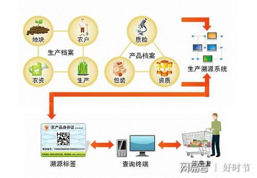 健康新方向 紅軍山藥面，信息管理服務賦能餐飲新體驗
